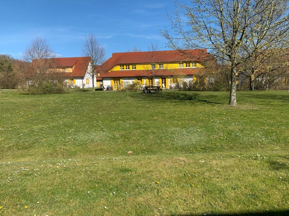Komfortplus 1-raum Mit Terrasse A42